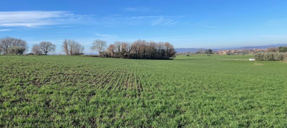 26000m² Land in Pitigliano, Italy No. 253785 7