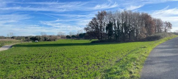 26000m² Land in Pitigliano, Italy No. 253785 4