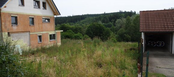 Terrain à Schwarzwald-Baar-Kreis, Germany 731m² No. 4277 4