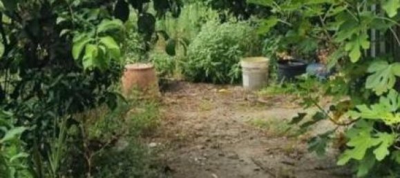 7 rooms House in Massa, Italy No. 108397 5