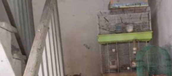 7 rooms House in Massa, Italy No. 108397 3