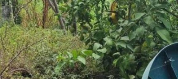 7 rooms House in Massa, Italy No. 108397 7