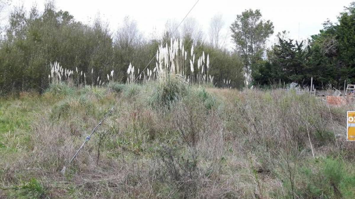 Terreno en Mar del Plata, Argentina No. 118874
