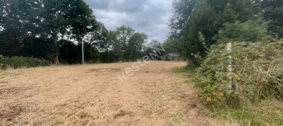 3 chambres Maison à Taupont, France No. 284974 19